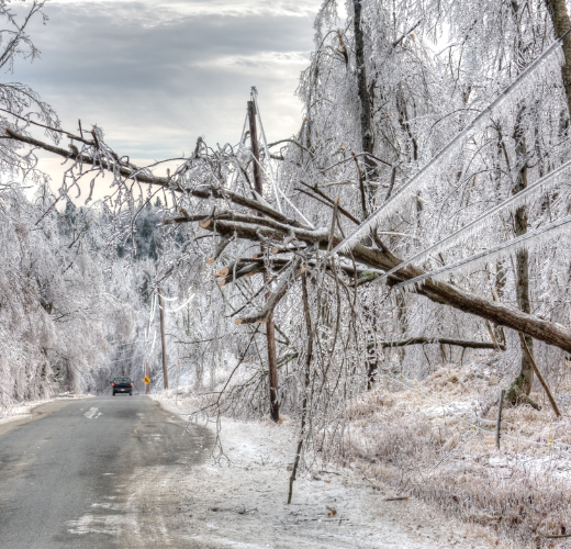 Preparedness Strategies: Extreme Weather