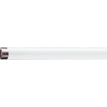 F21T5/830/ALTO 40PK