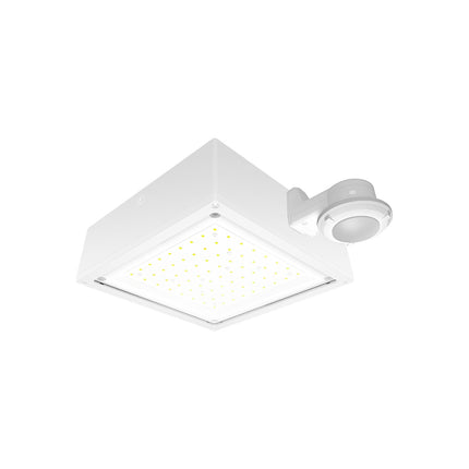 CANOPY LIGHTS 3260 LUMENS VANLED 20W 5000K FLAT CLEAR LENS WATTSTOPPER SENSOR WHITE