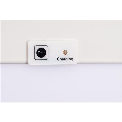 LED 2'x2' Flat Panel with Battery Backup, 30W - 4000K