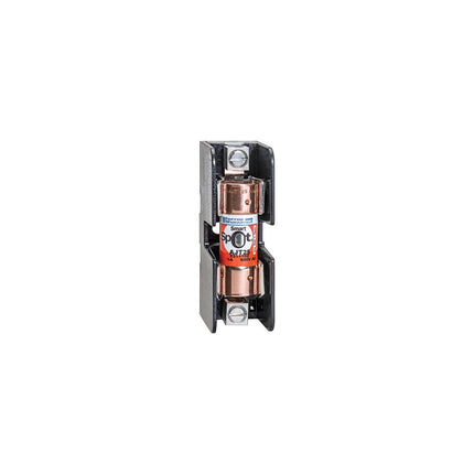 Fuse Amp-Trap 2000® 600V 15A Time-Delay Class J AJT Series Smart-Spot