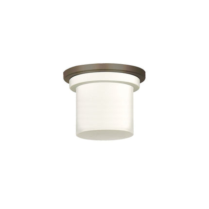 ZONIX LIGHT KIT: OIL-RUBBED BRONZE, OPAL GLASS