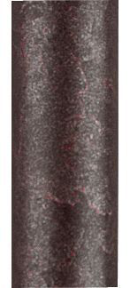 48-inch Extension Pole - RS