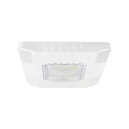 MORRIS 71411A 120W SURFACE MOUNT CANOPY 5K