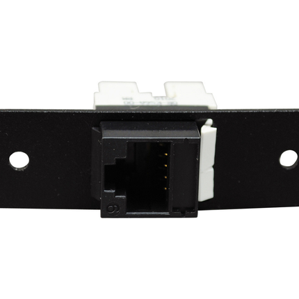 Keystone CAT6 Jack Plate