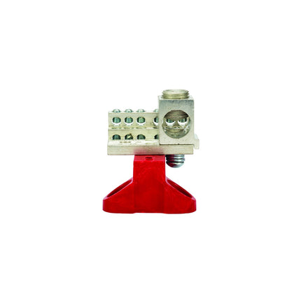 12 Crct Stked Neut C/W P1