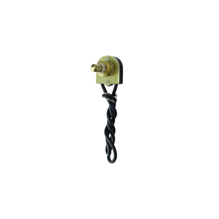 Push Canopy Maintained Brass Actuator