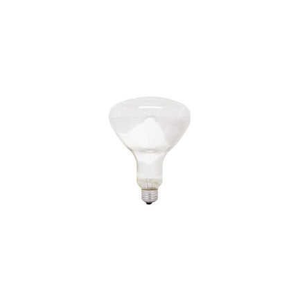 GE 250R40/1-6PK-120 37770 INCANDESCENT LAMPS