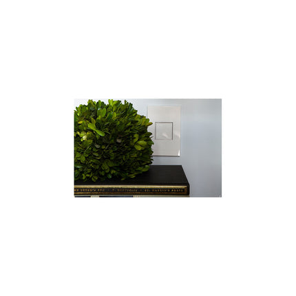 adorne® 20A 1-Gang Pop-Out Outlet, White