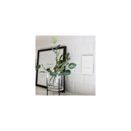 adorne® 20A 1-Gang Pop-Out Outlet, White
