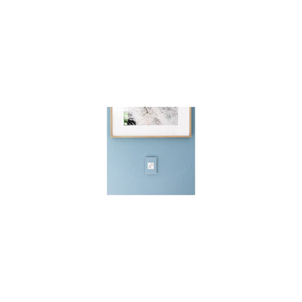 adorne® 15A Dual Tamper-Resistant Outlet, White