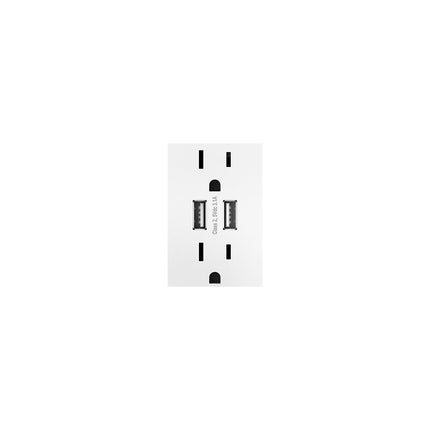 adorne® Dual-USB Outlet , White