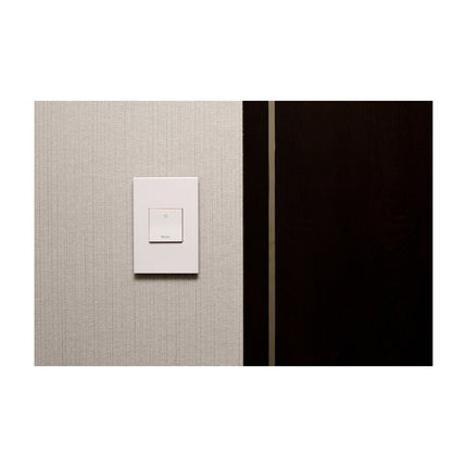 adorne® 15A Paddle™ Switch, Engraved - Master, Magnesium