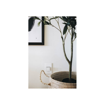 adorne® Gloss White 1-Gang Screwless Wall Plate with Microban®