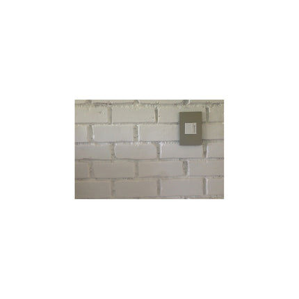 adorne® Satin Nickel 1-Gang Screwless Wall Plate