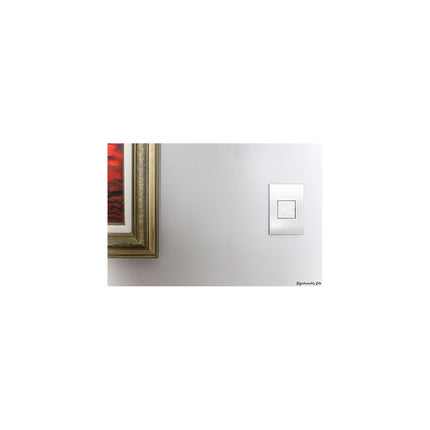 adorne® Satin Nickel 1-Gang Screwless Wall Plate