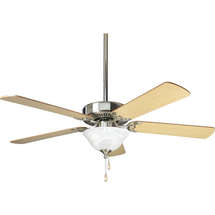 Two-light ceiling fan light