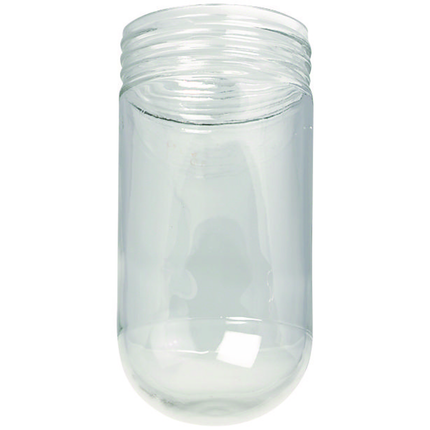 V - Clear Glass Globe - 150 W A-21 Lamp