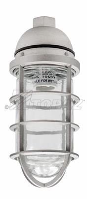 Vaporproof Fixture 3/4" Pendant Mount with Cage
