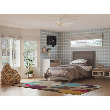 Two-light ceiling fan light