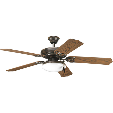 Two-light ceiling fan light