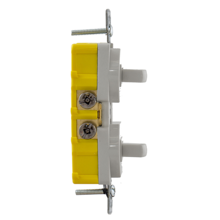 Two Single-Pole Toggle Combination Device 15A