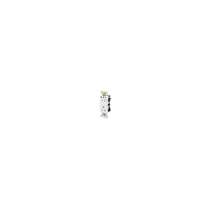 16262-IGW, 15 Amp