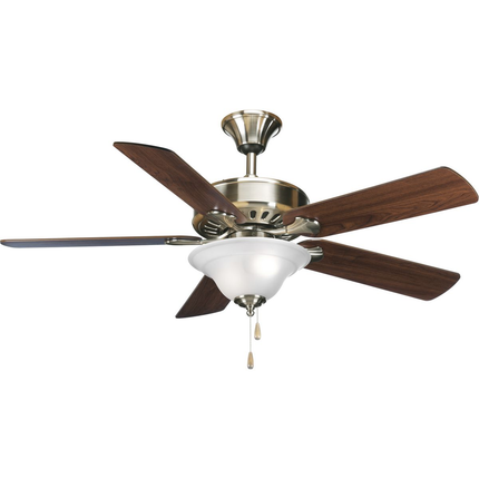 Two-light ceiling fan light