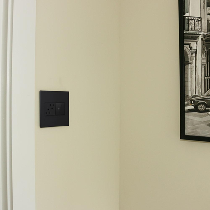 adorne® Graphite 2-Gang Screwless Wall Plate with Microban®