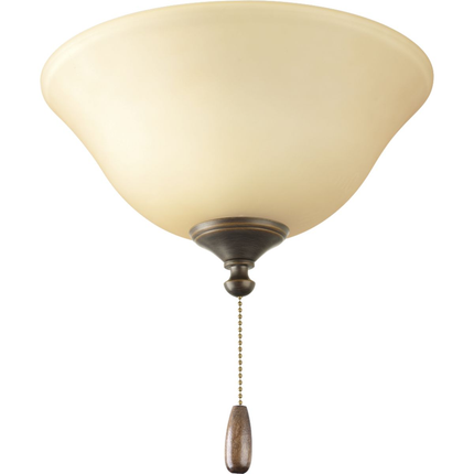 Two-light ceiling fan light
