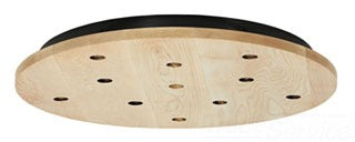 TECH LIGHTING 700PJRD11MS PJ WD CNPY 11 PORT RND MP SN