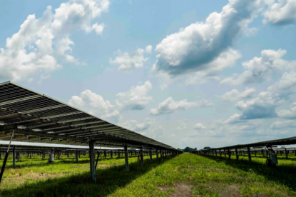 Samson Solar Energy Center II | Lamar County, TX