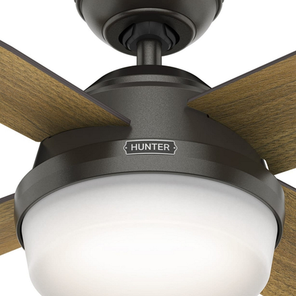 HUNTER 59446 52IN DEMPSEY-NOBLE BRONZE