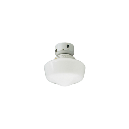 1 Light Outdoor Schoolhouse Light Kit in White