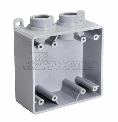 1/2" Schedule 40 PVC FSS Type Box, Double Gang