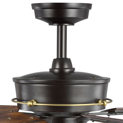 Teasley Collection 56" Five-Blade Ceiling Fan With Glass Shades