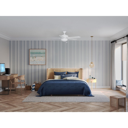 Two-light Fan Light Kit