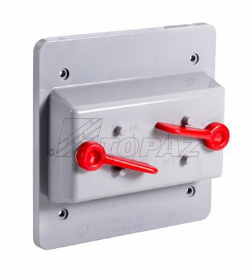 Weatherproof Schedule 40 PVC Double Toggle Switch Cover