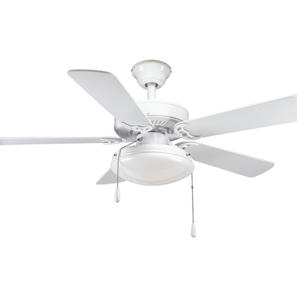 Two-light ceiling fan light