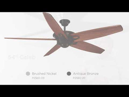 Caleb 68" Ceiling Fan