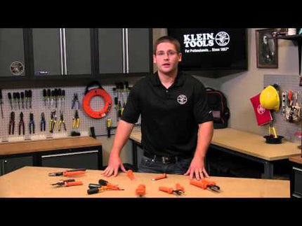 Screwdriver Set, 1000V Insulated Slotted and Phillips, 2-Piece